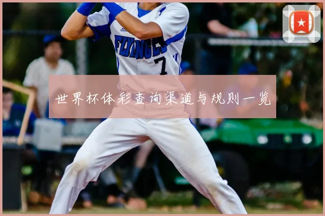 世界杯体彩查询渠道与规则一览