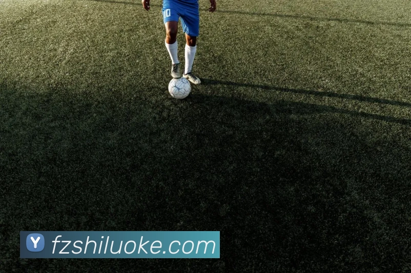 乐鱼官网app登录入口APP 封面图